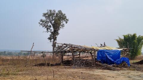 Shed at the time of agriculture